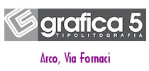 Grafica 5